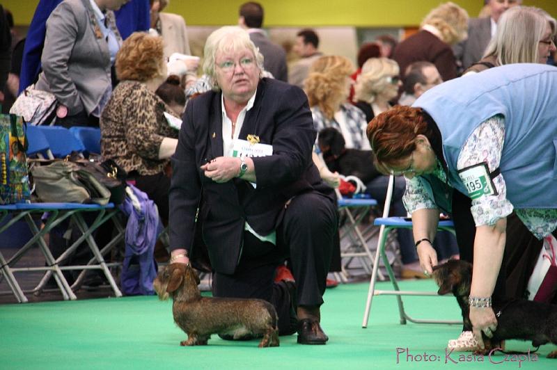 Crufts2011_2 713.jpg